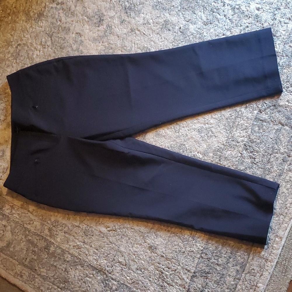 Ann Taylor Dark Navy Women's Pants